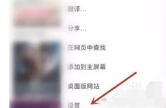 谷歌浏览器app怎么关闭广告3