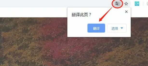 谷歌浏览器的翻译功能怎么打开7
