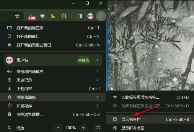 谷歌浏览器如何在侧边栏显示所有书签4