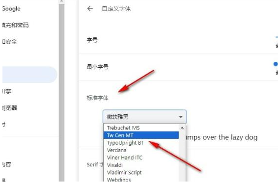 谷歌浏览器如何更改网站默认字体6